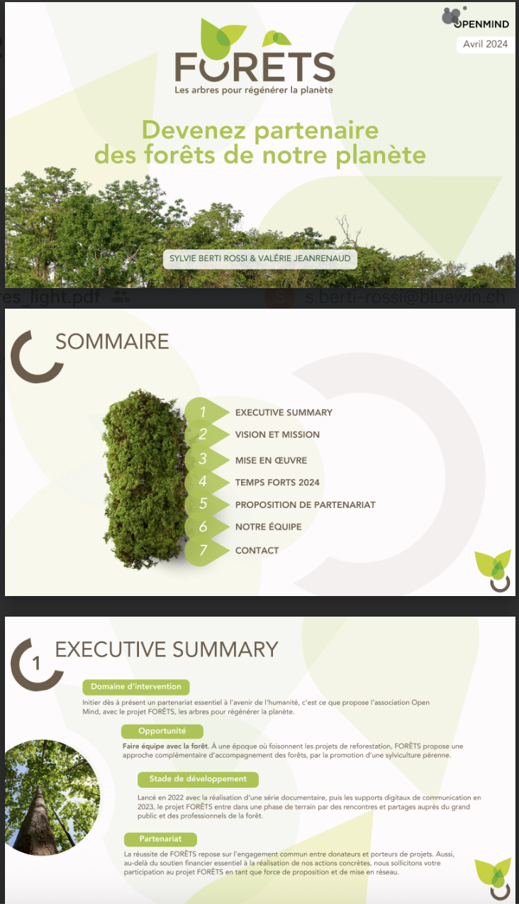 Pitch Deck